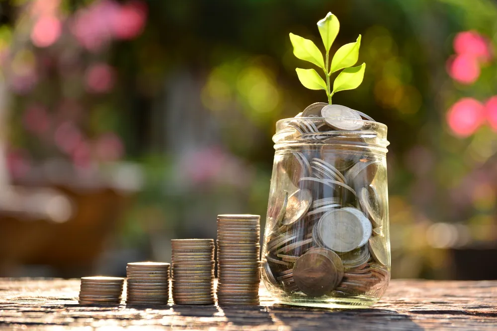 Grow Through What You Go Through: Growing Your Business Post-COVID