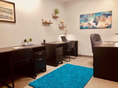 A contemporary shared office space featuring three dark desks, a bright turquoise shag rug, and a large abstract world map canvas on the wall.