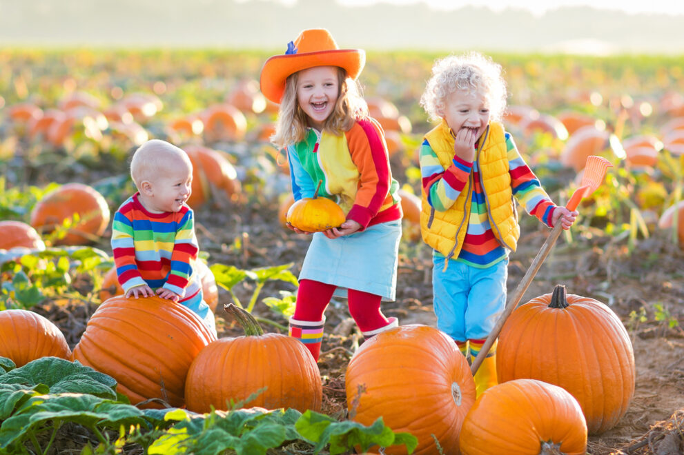 Little,Girl,,Boy,And,Baby,Picking,Pumpkins,On,Halloween,Pumpkin